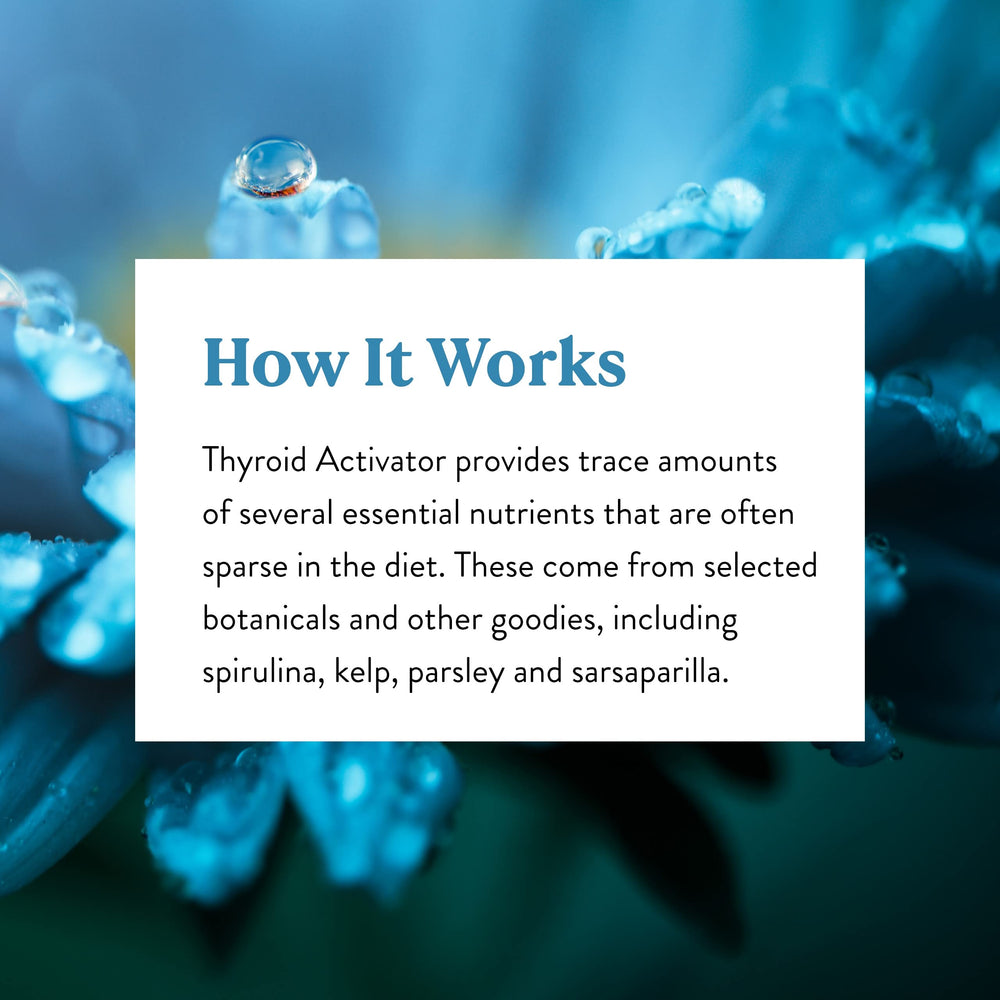 Sarsaparilla root in Thyroid Activator ingredients