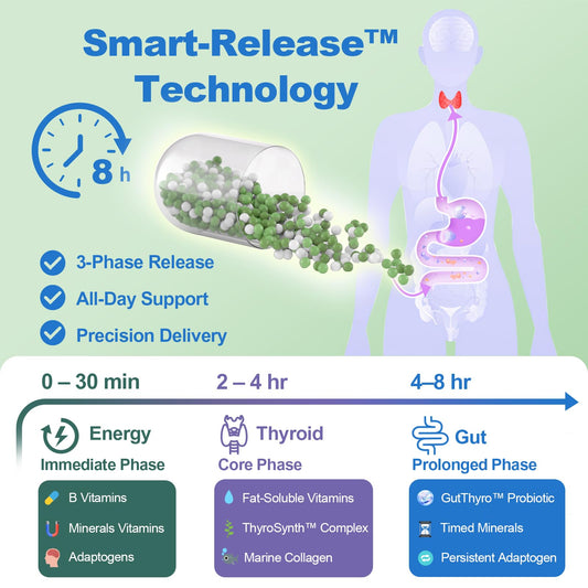 Illustration of Smart-Release Technology for thyroid capsules