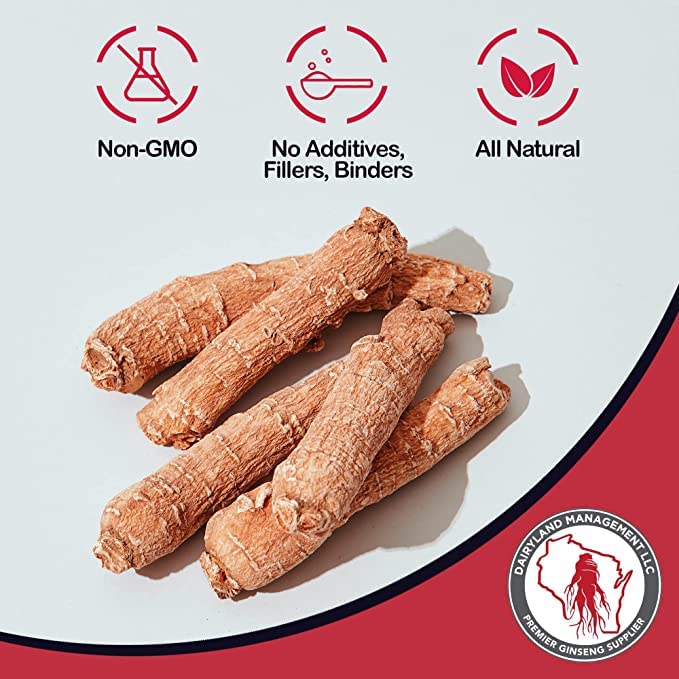 Tien Chi root Panax Notoginseng powder packaging jar