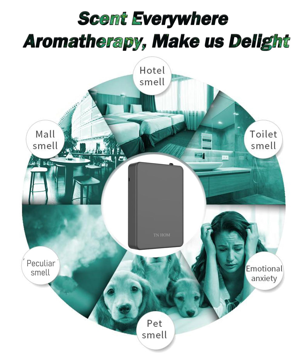 TN HOM power options image illustrating Type-C wired and wireless battery setup.