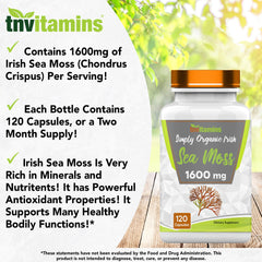 Sea Moss antioxidant properties