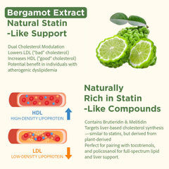 Tocotrienols (Vitamin E) for LDL protection