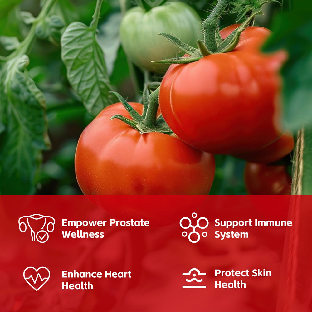 Tomato-derived Lycopene source illustration