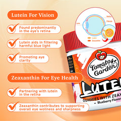 Daily serving guidance for eye health gummies