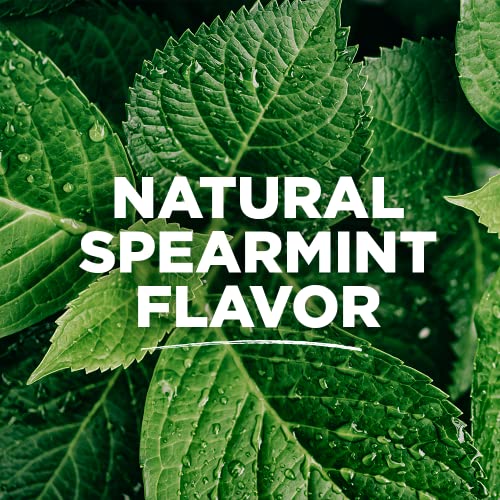 Floss strands in Spearmint packaging