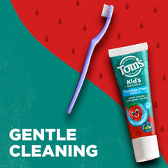 Illustration of calcium and silica-based fluoride-free toothpaste ingredients