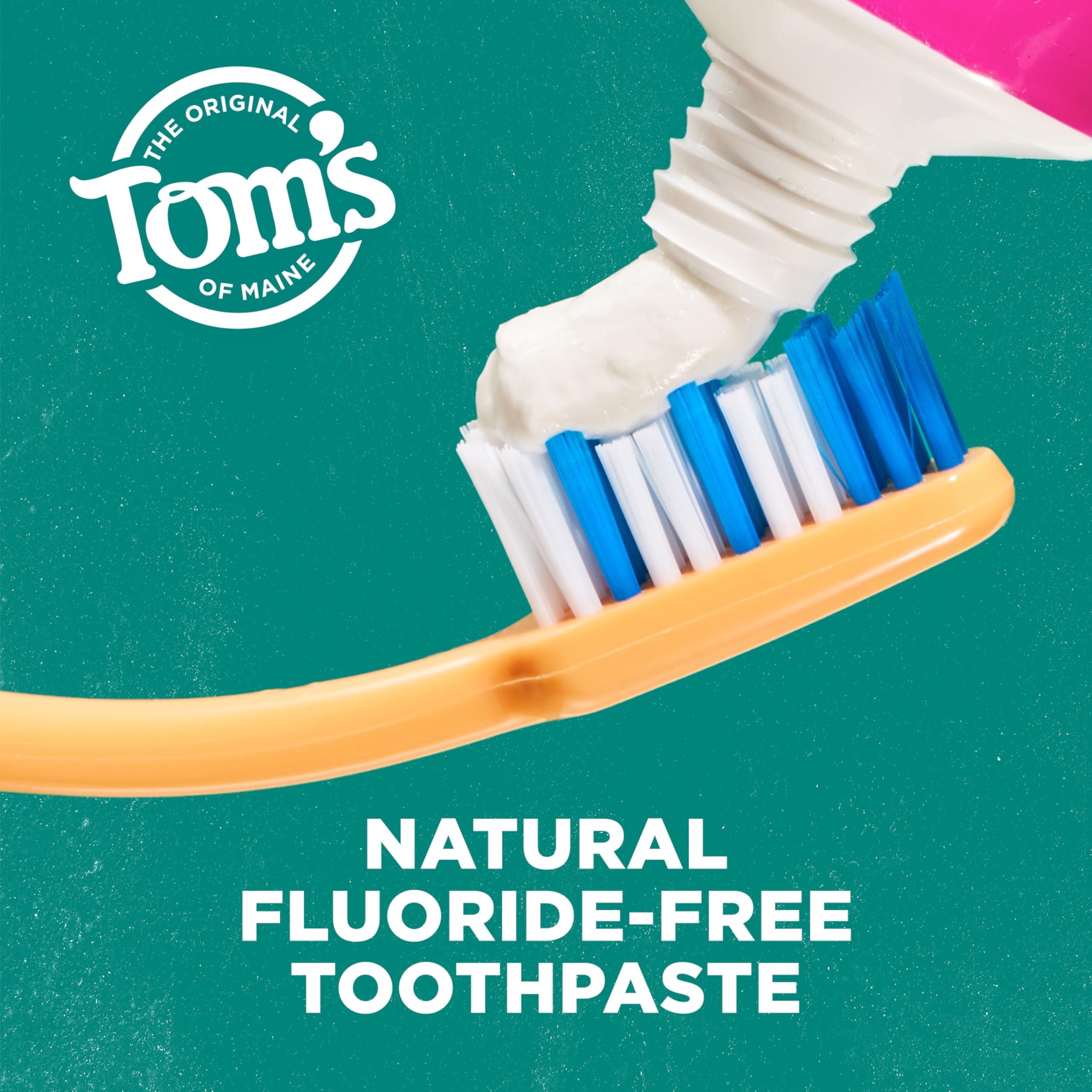 Natural fennel ingredients illustration for toothpaste