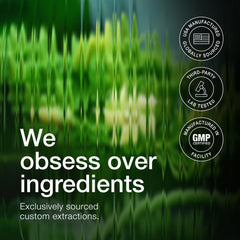 Vegan capsule product shot of Toniiq Gymnema Sylvestre