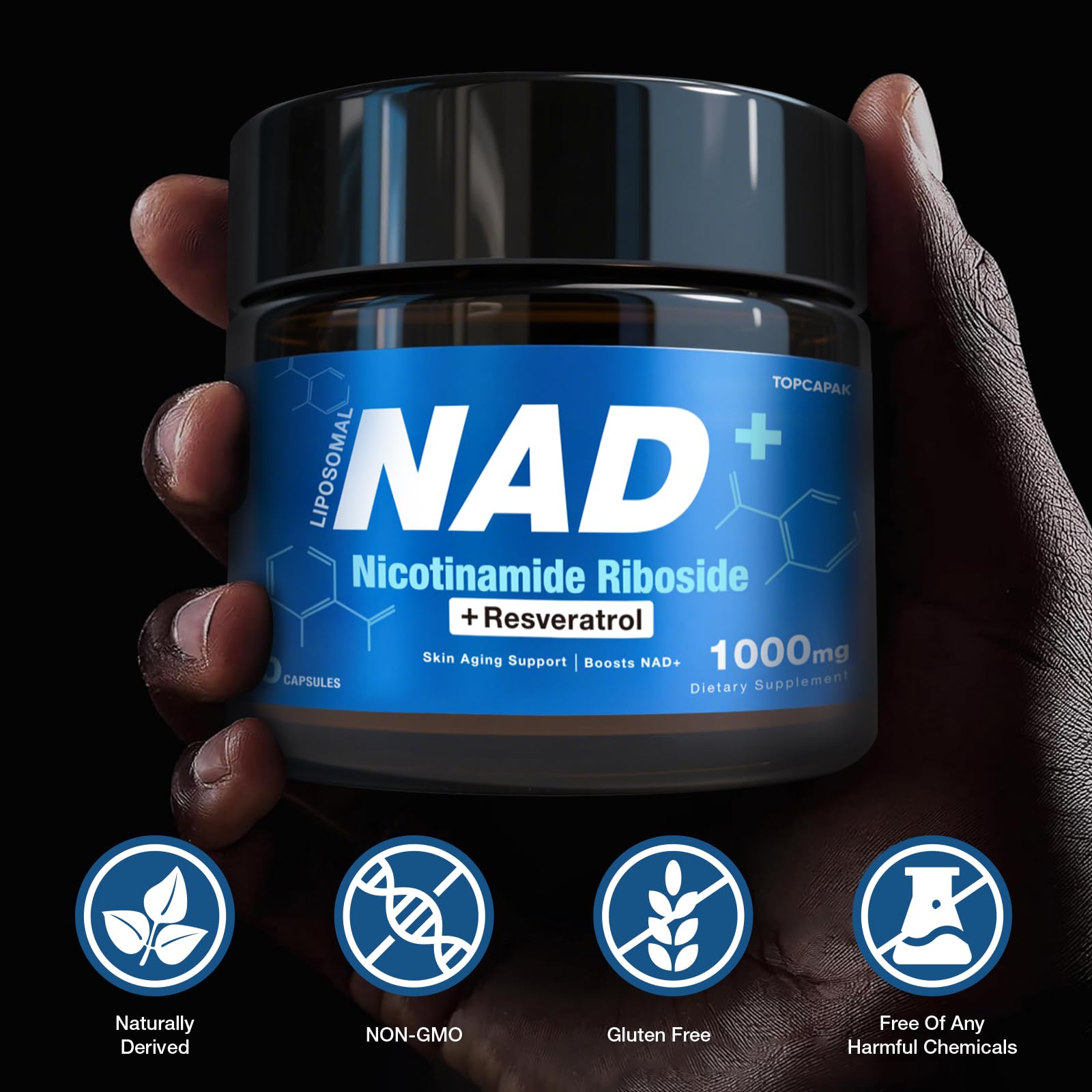 NAD+ cardiovascular health and healthy aging illustration