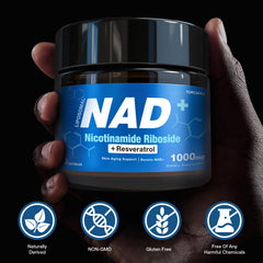 NAD+ cardiovascular health and healthy aging illustration