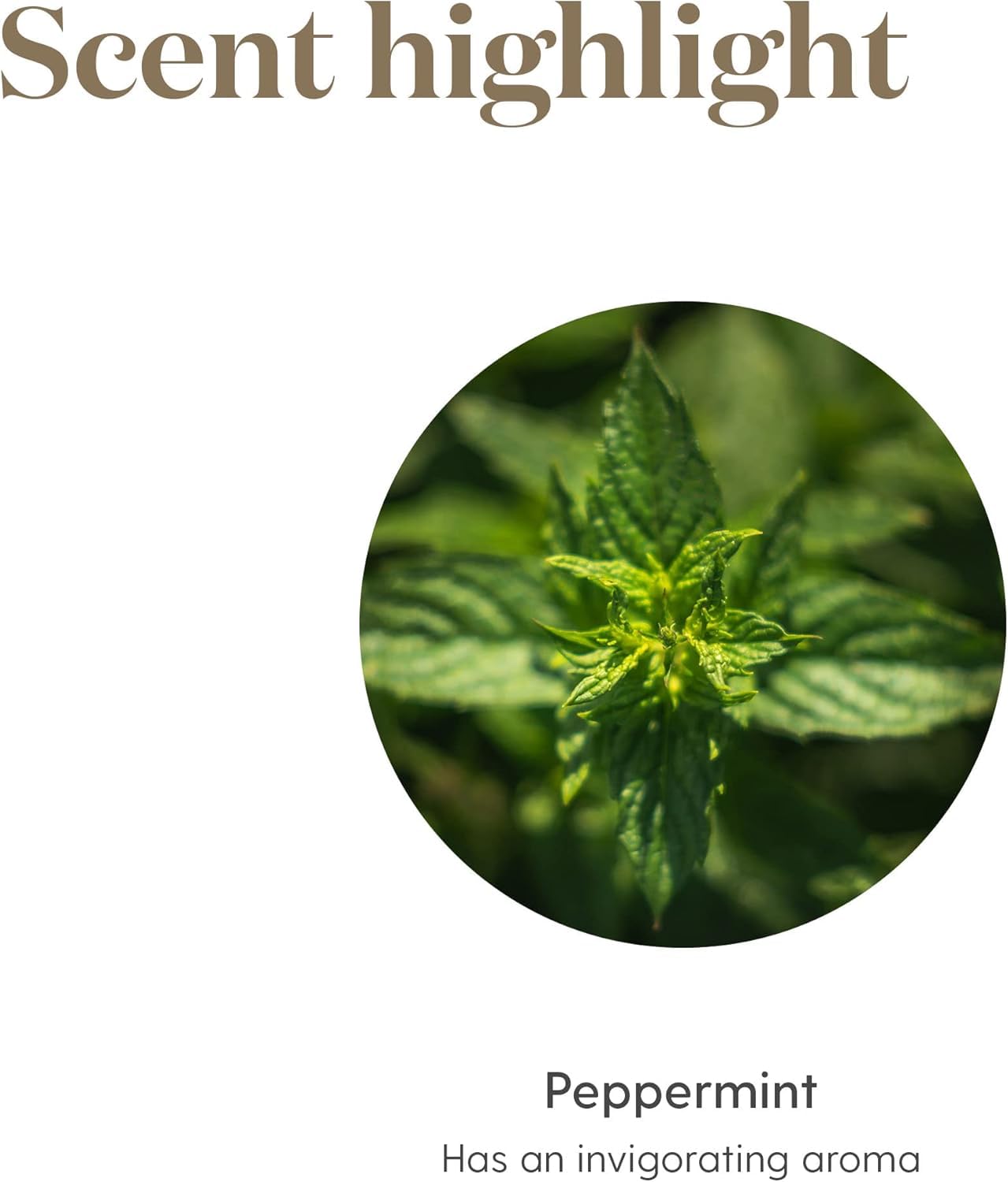 Peppermint oil applied topically for a cooling sensation