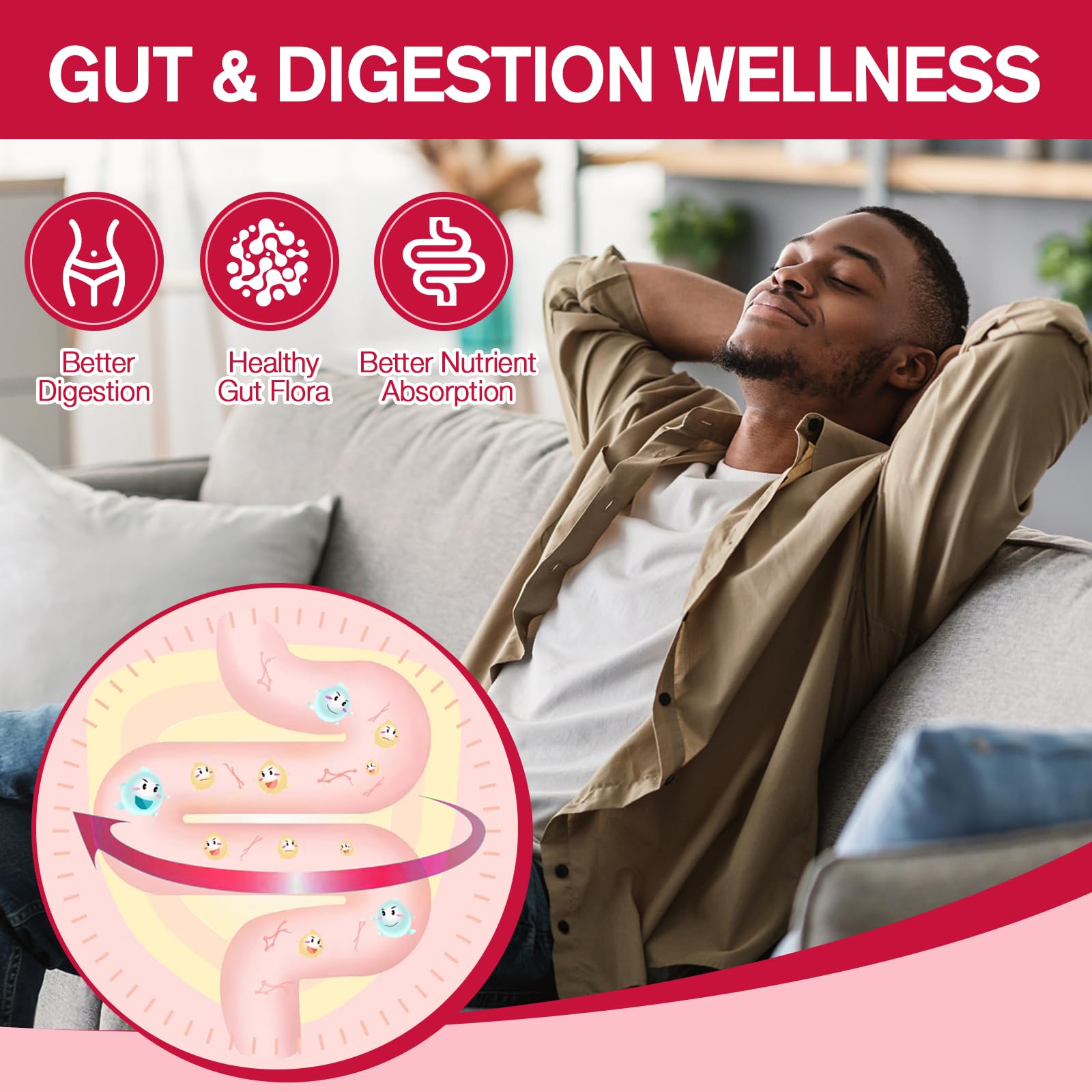 Fiber ingredients graphic: psyllium husk, inulin, chia seeds, apple cider vinegar