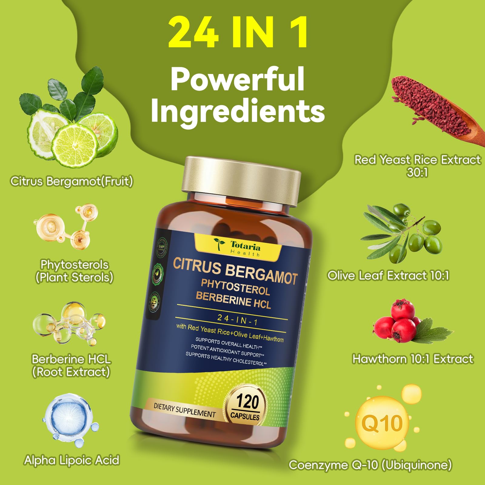 Berberine HCl and Red Yeast Rice ingredients