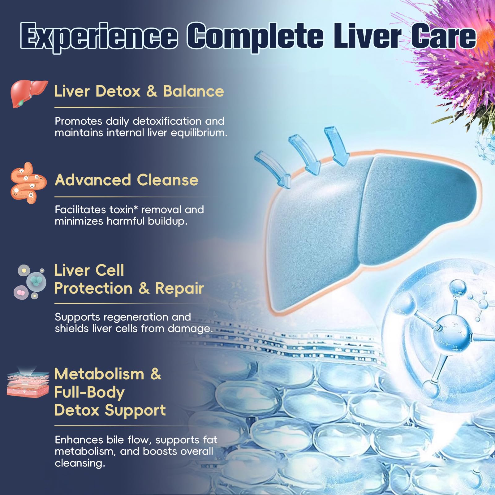 Chanca Piedra, Berberine, Artichoke Leaf in Totaria formula