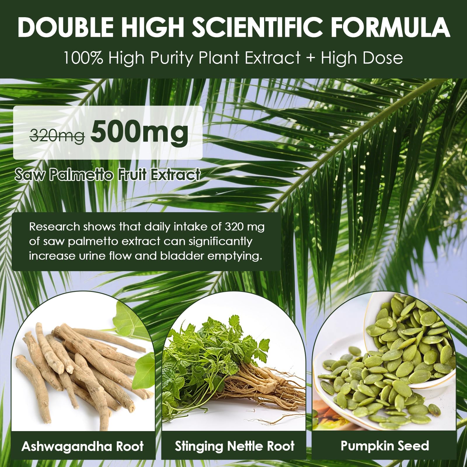 Illustration of DHT blocker action for Totaria