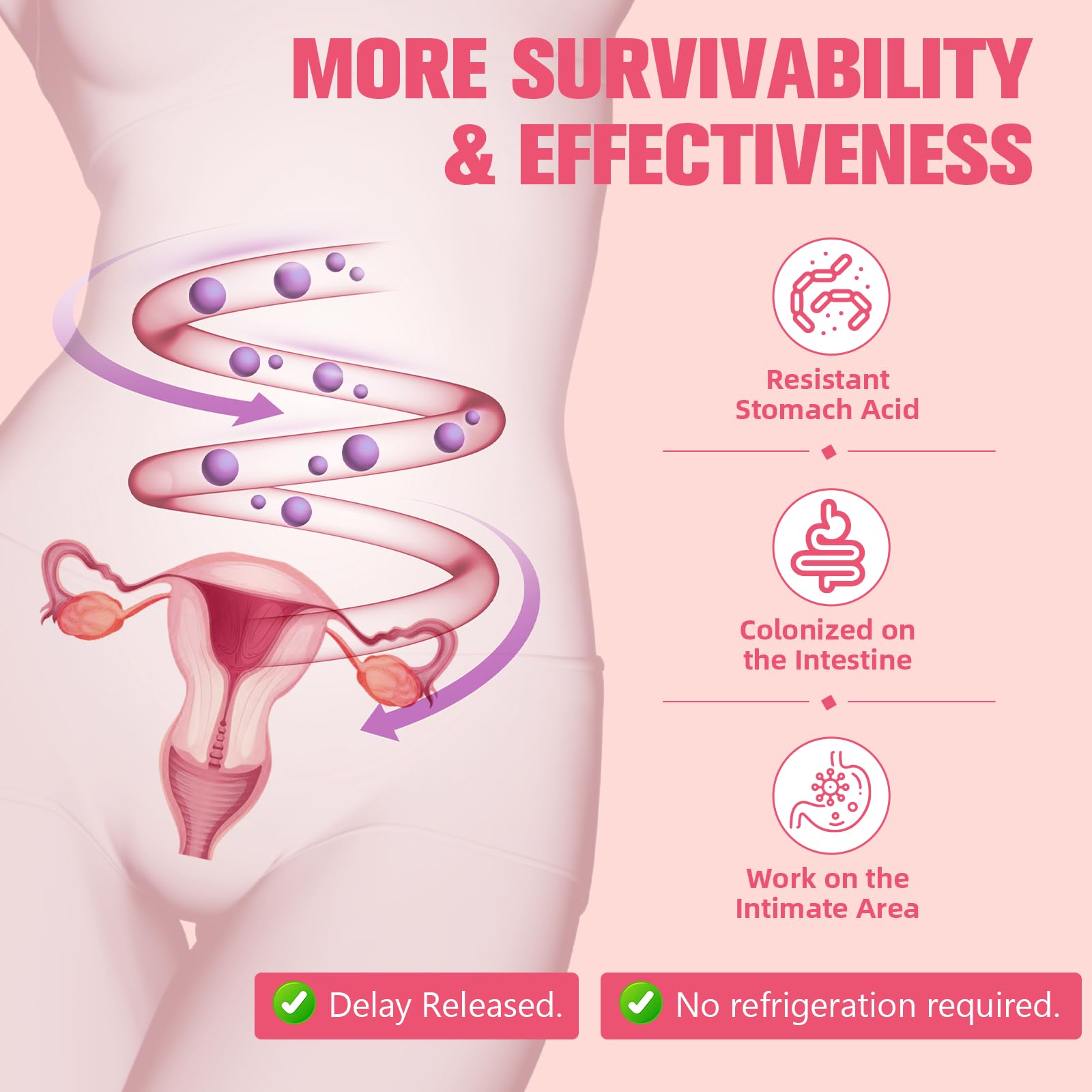 Red Clover and Black Cohosh ingredient imagery