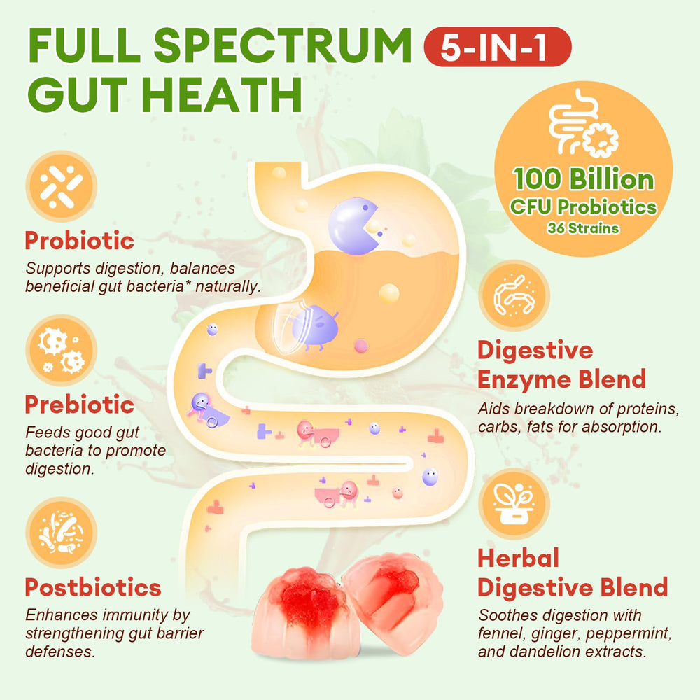 Science-backed probiotic strains illustration (Lactobacillus, Bifidobacterium, Saccharomyces boulardii)
