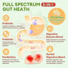 Science-backed probiotic strains illustration (Lactobacillus, Bifidobacterium, Saccharomyces boulardii)