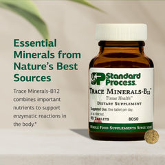 Trace Minerals-B12 shown as non-dairy and non-soy supplement
