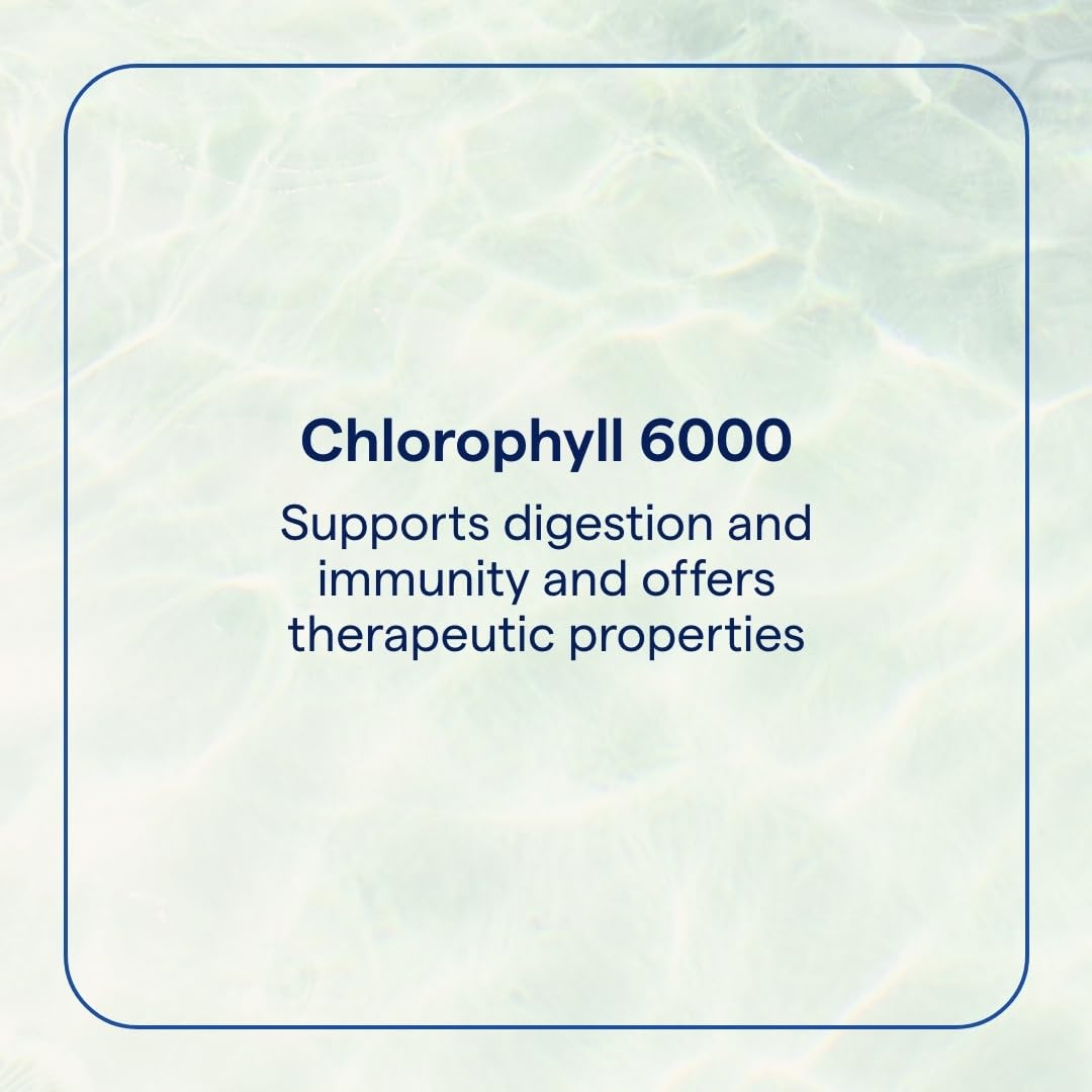 Close-up of mint-flavored chlorophyll label