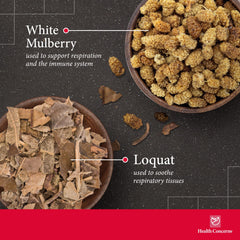 Traditional Chinese herbs used in Yin Chao Junior formula loquat leaf gardenia perilla