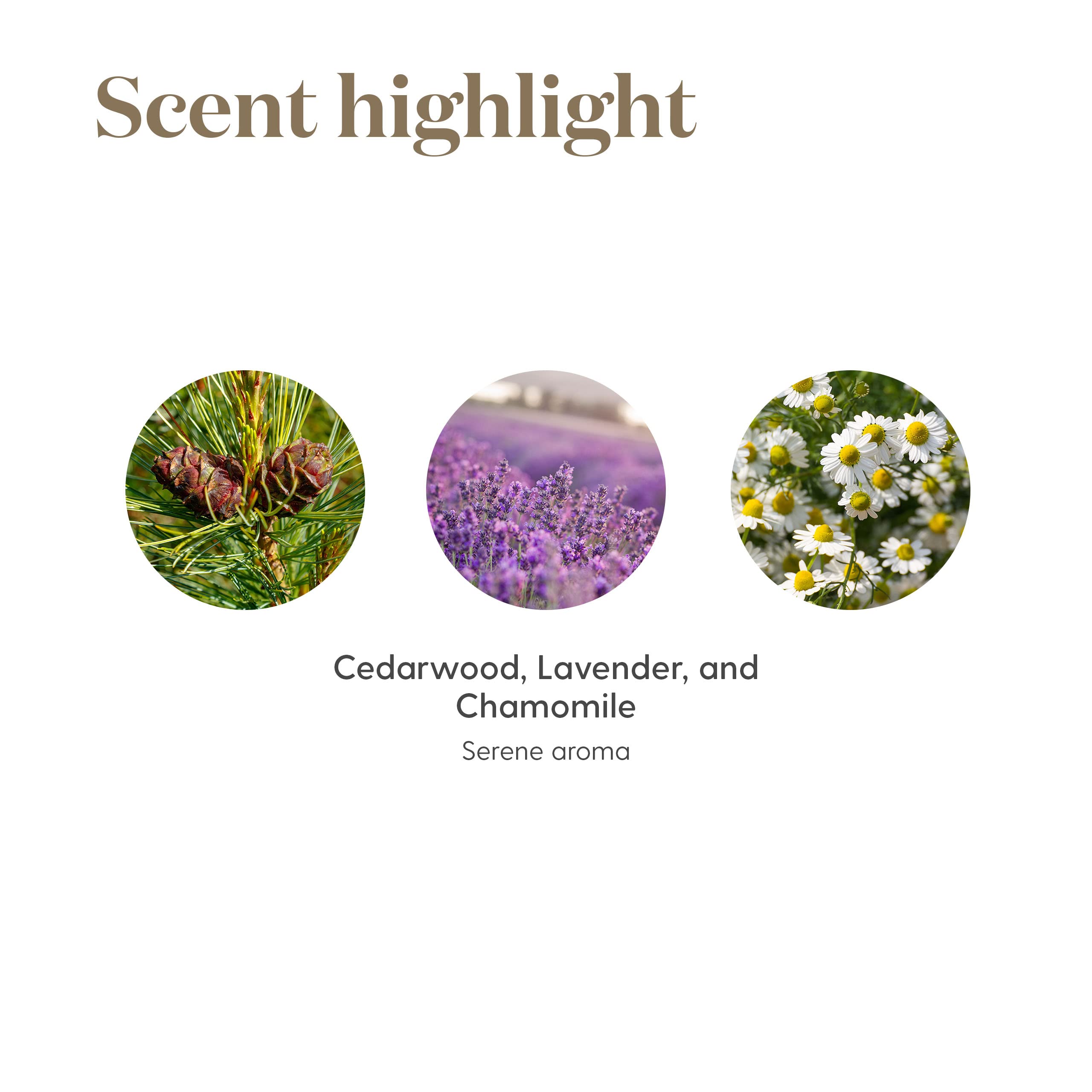 Label on Tranquil essential oil roll-on 10 ml