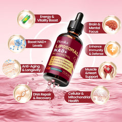 Trans-resveratrol with NAD+ contributing to mitochondrial function