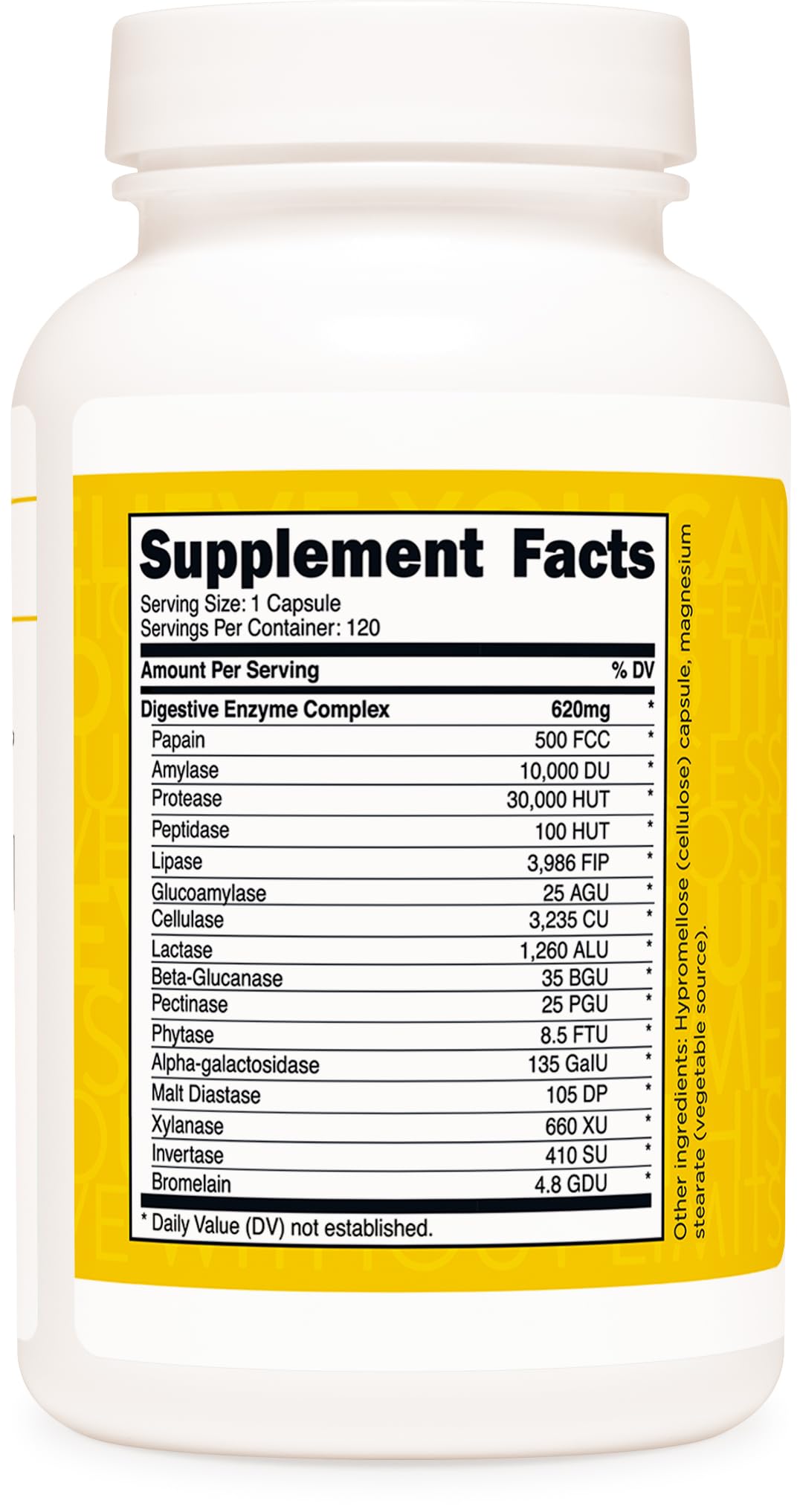 Concept image showing digestion support and nutrient absorption with TransformHQ