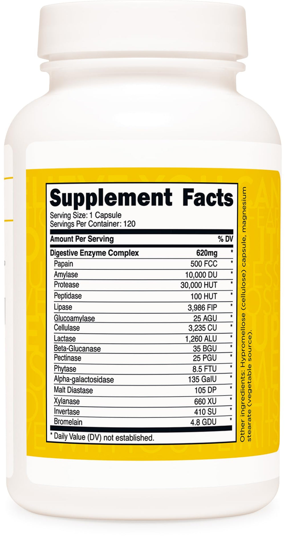 Concept image showing digestion support and nutrient absorption with TransformHQ
