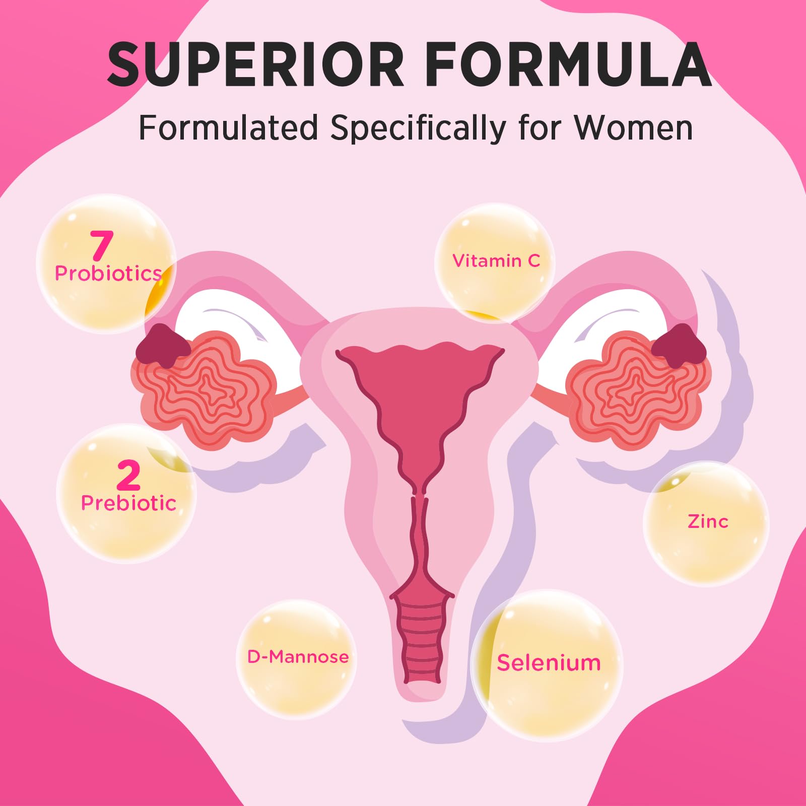 Probiotic supports vaginal flora and urinary health