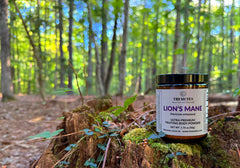 Scoop of Tremetes Lion’s Mane powder over a bowl