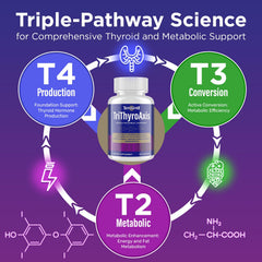 Diagram showing T4, T3 and T2 triple-pathway