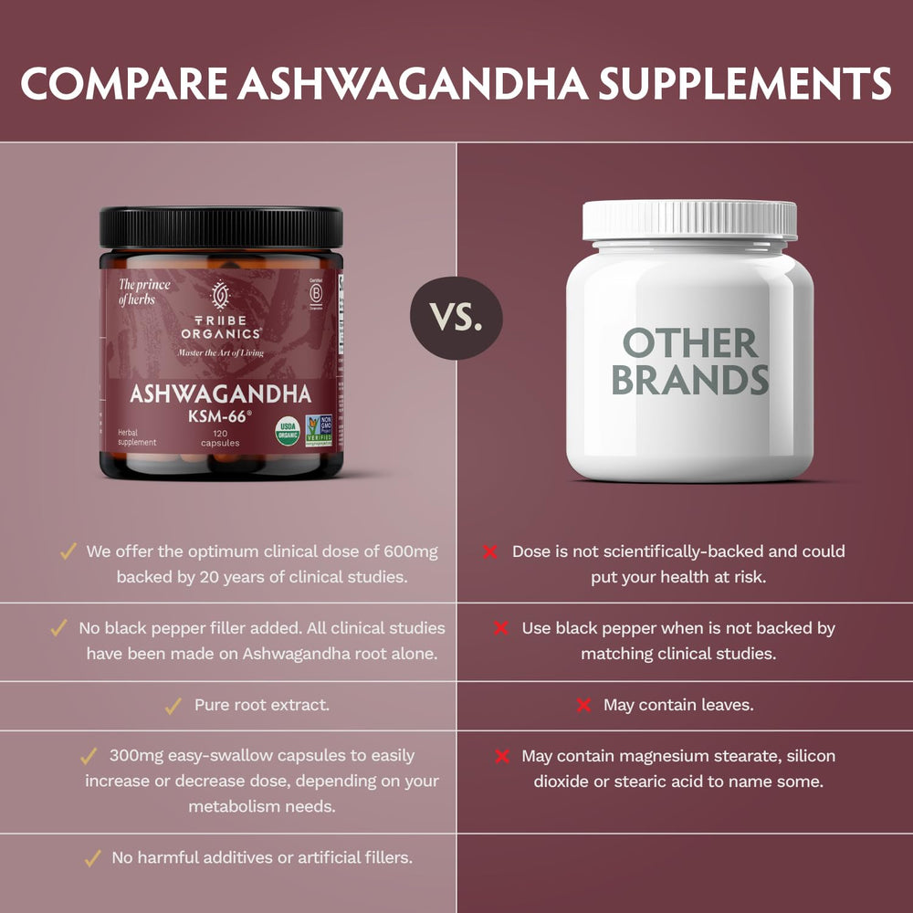 Ashwagandha supporting focus, mood, energy and athletic performance