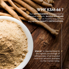 90-count bottle of TRIBE ORGANICS KSM-66 Ashwagandha capsules