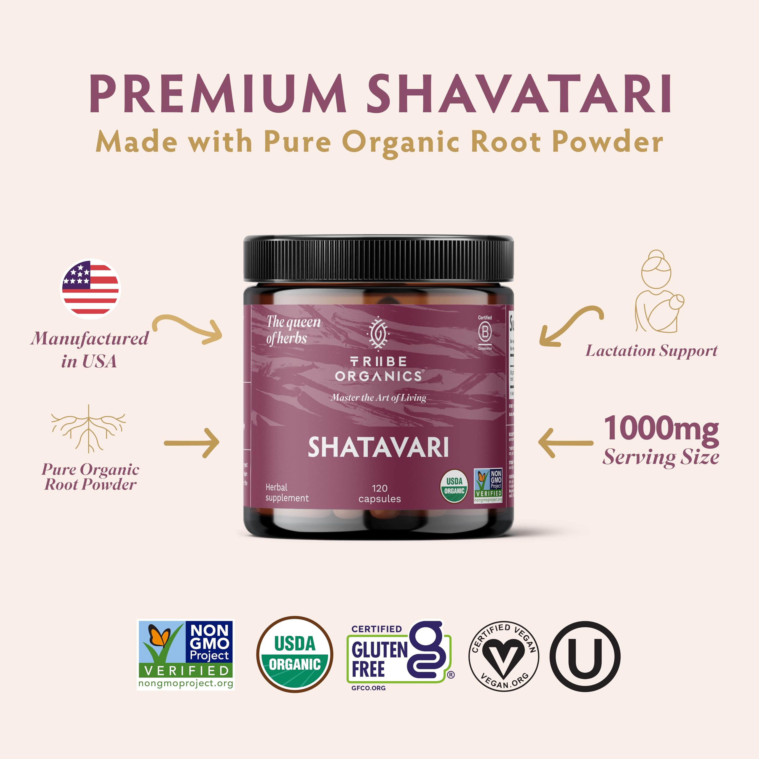 Shatavari root powder close-up used in the capsules