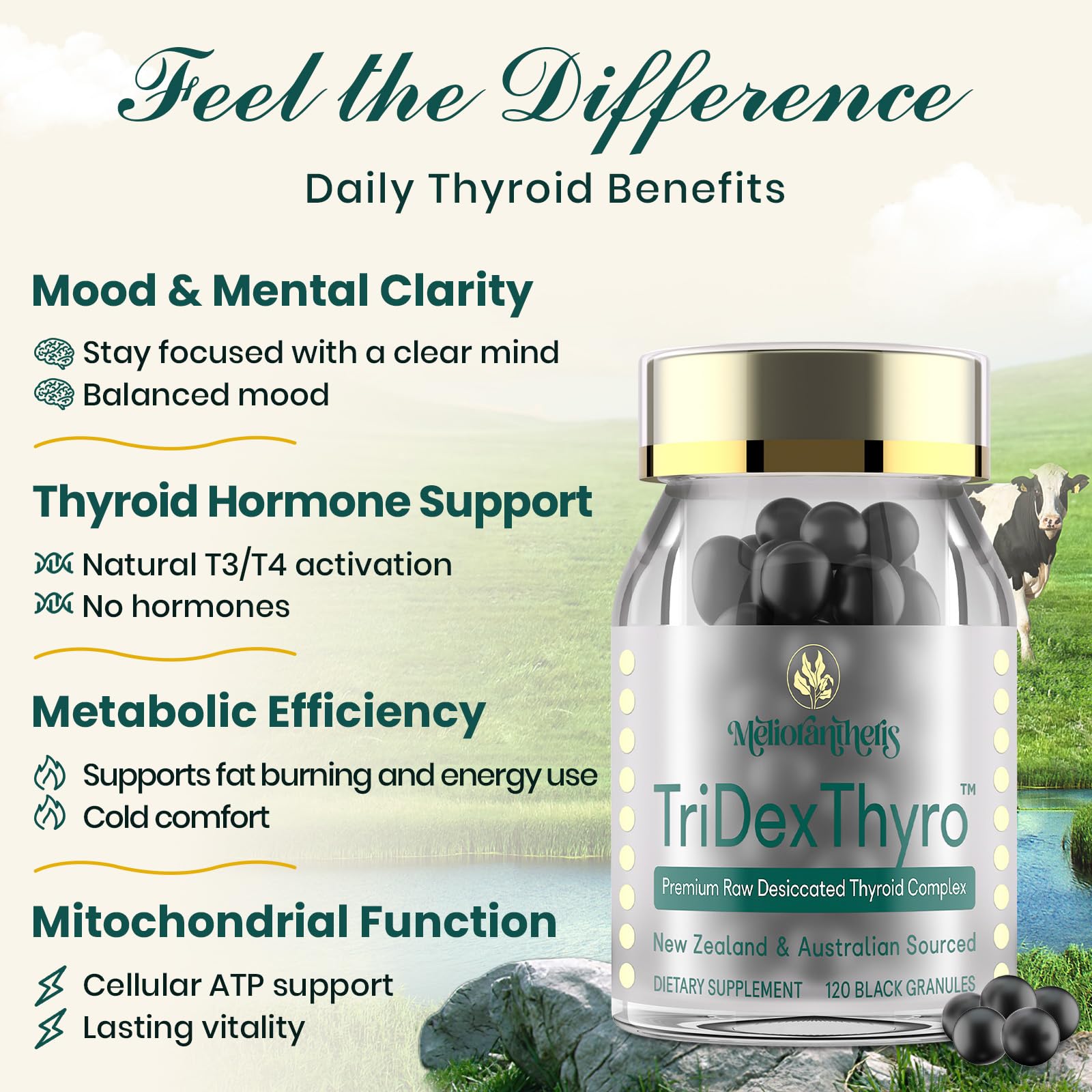 Illustration of triple-source thyroid ingredients: New Zealand desiccated thyroid, bovine and porcine