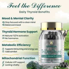 Illustration of triple-source thyroid ingredients: New Zealand desiccated thyroid, bovine and porcine