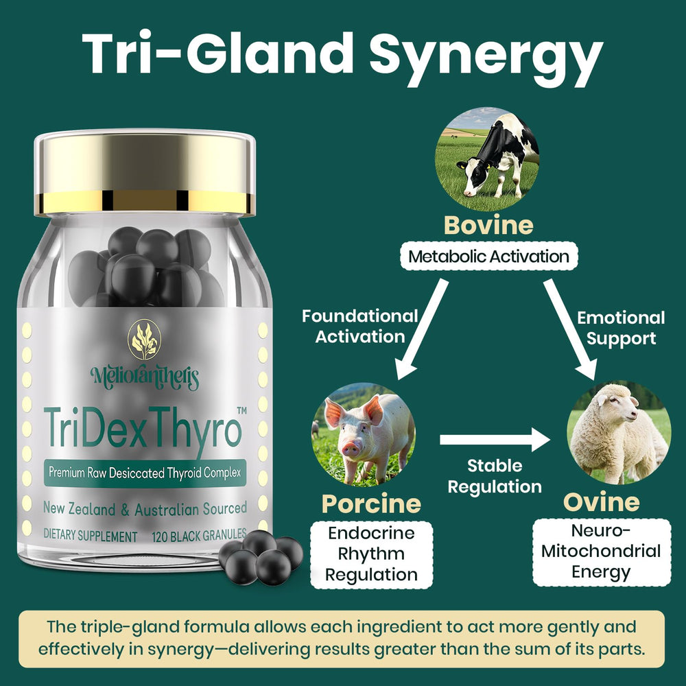 Daily serving size of 375 mg thyroid-derived ingredients