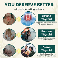 Lifestyle-friendly thyroid wellness supplement for men and women