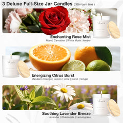 Citrus Burst full-size candle (32 hr) by TRINIDa