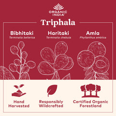 Ingredients Amla Bibhitaki Haritaki in Triphala capsules