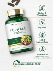 Illustration of Triphala ingredients Haritaki Bibhitaki and Amla