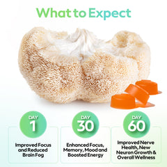 Troop Lions Mane Gummies close-up peach mango flavor for energy and clarity