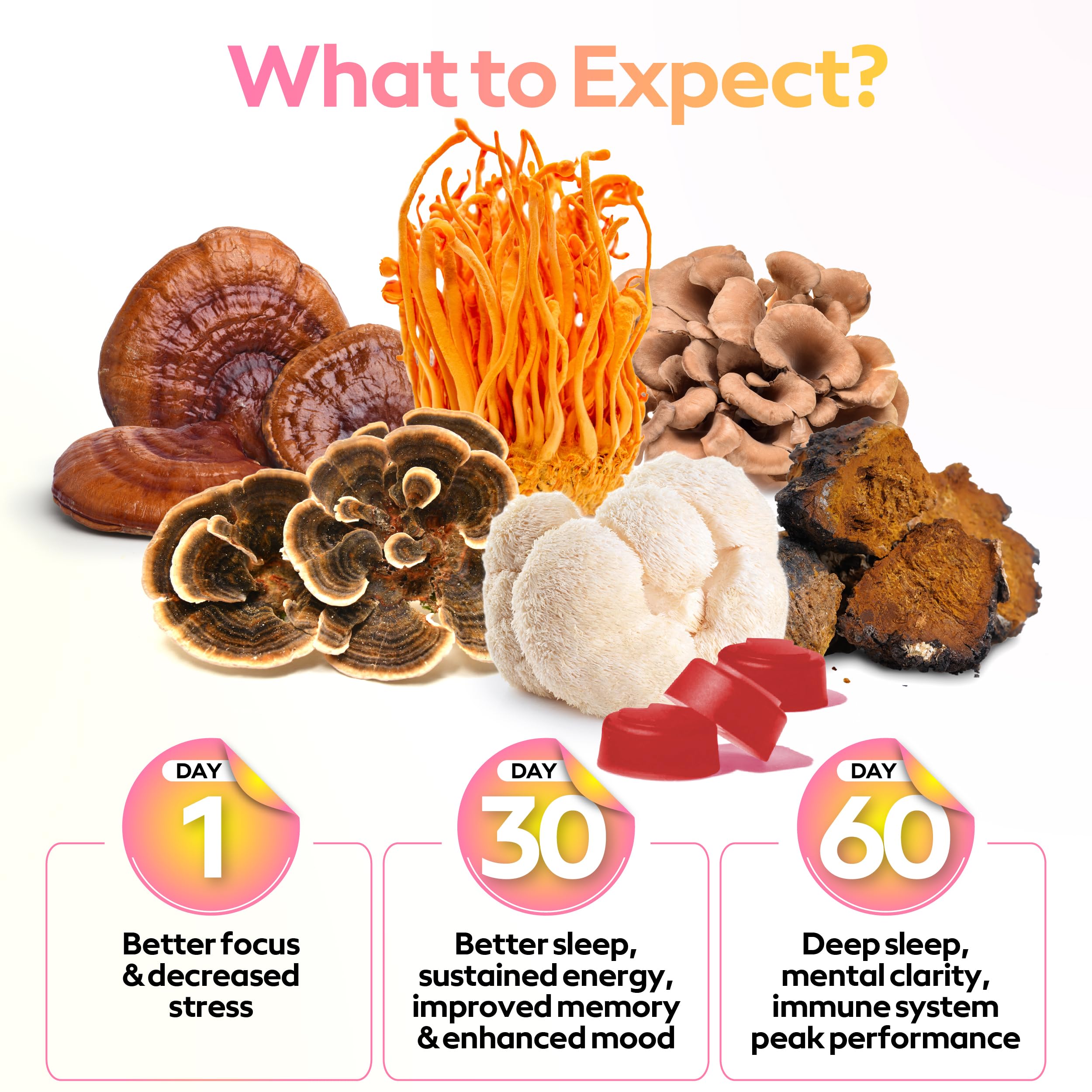Ingredients list for Troop Super 6 Mushroom Gummies
