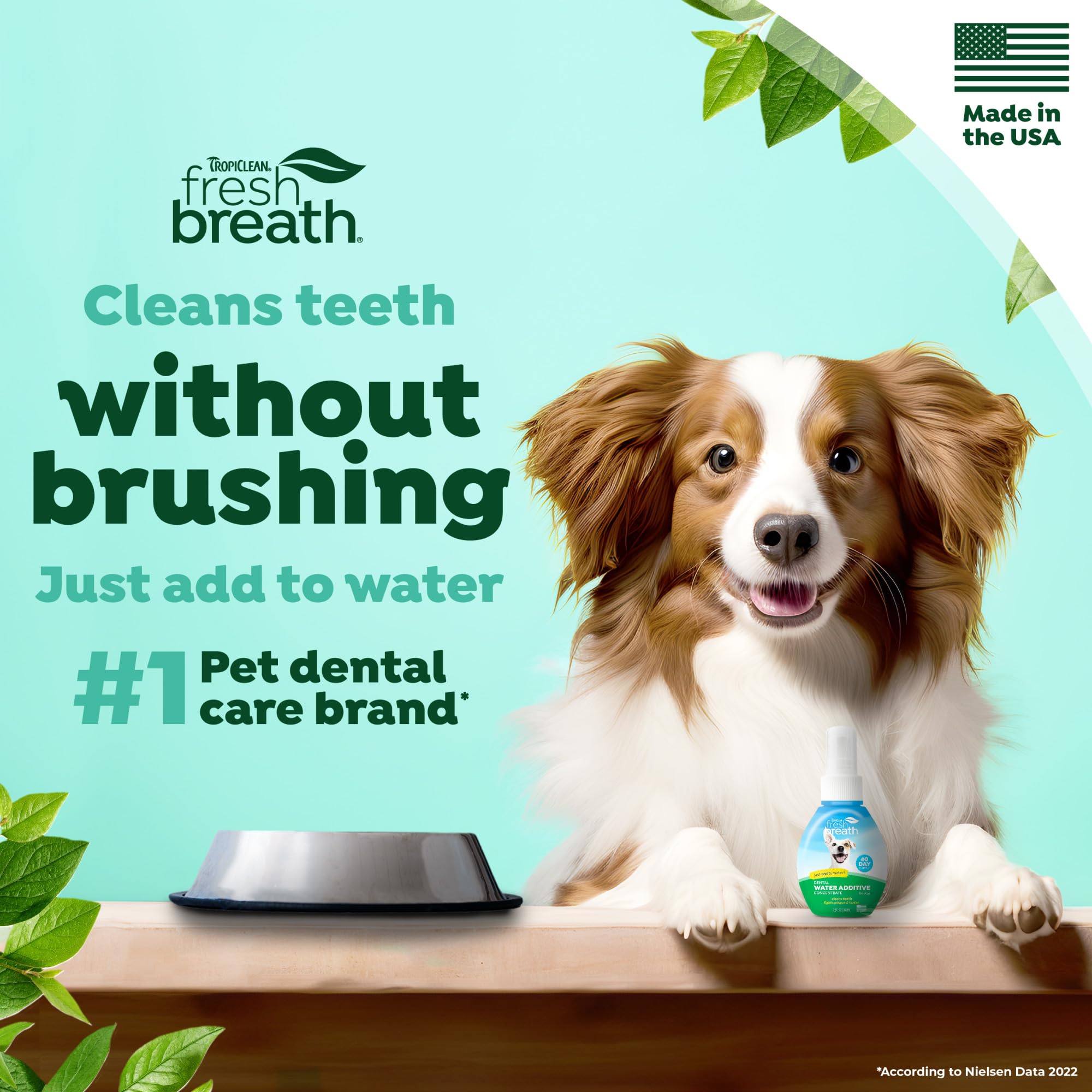 Dog’s breath visibly improved after using TropiClean Fresh Breath Water Additive