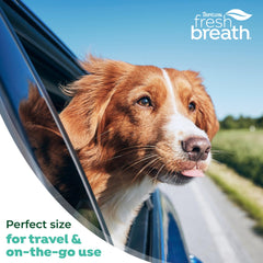 Ingredients and care information for TropiClean Fresh Breath Water Additive
