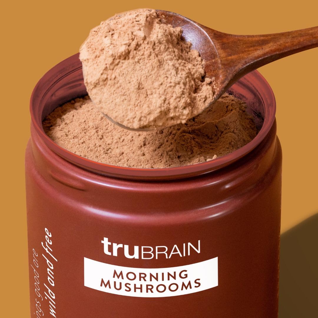 Close-up of Lion's Mane, Chaga, Cordyceps, and Reishi mushrooms