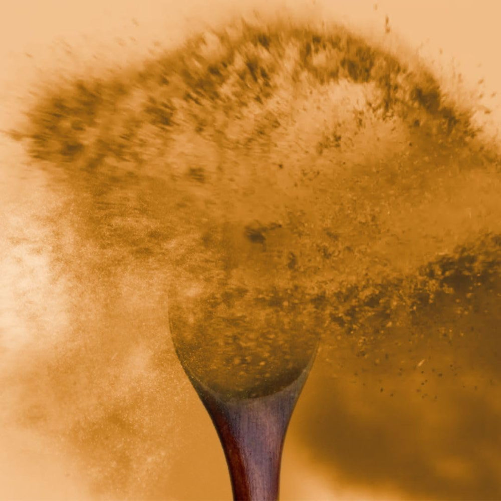 Ingredients and natural components used in TruBrain Morning Mushrooms
