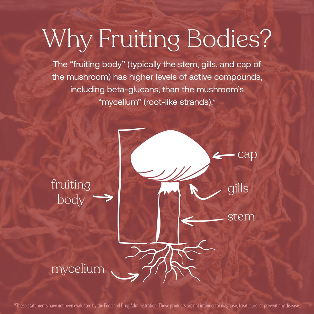 USDA organic cordyceps fruiting body mushrooms