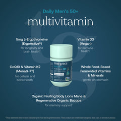 Illustration of key ingredients: L-ergothioneine, CoQ10, vegan Vitamin D3